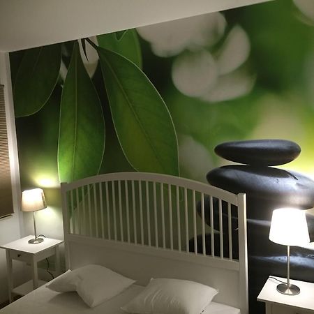 Apartament U Sternika 米兹多洛杰 外观 照片