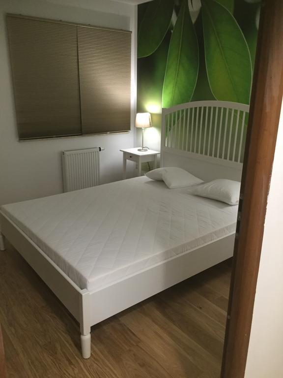 Apartament U Sternika 米兹多洛杰 外观 照片