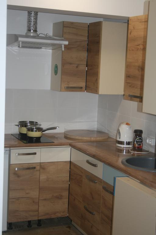 Apartament U Sternika 米兹多洛杰 外观 照片